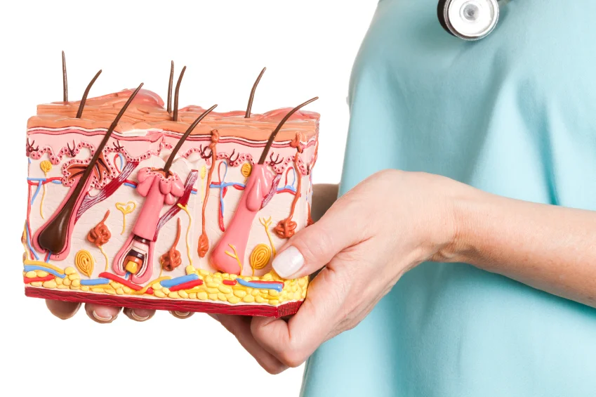 Dermatologija